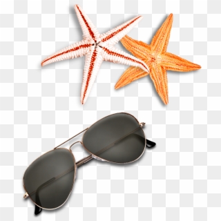 Beach Elements Sunglasses Starfish Free Clipart Hd - Beach Elements Psd Free, HD Png Download
