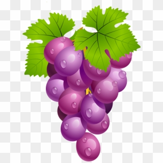 Grapes With Leaves Png Clipart Picture - Grapes Fruit Clip Art, Transparent Png