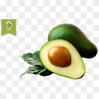 Organic Hass Avocado - Imagenes De Aguacates Png, Transparent Png