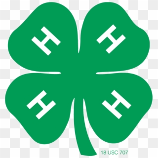 What Is 4 H - 4h Cloverbuds, HD Png Download