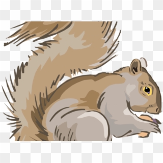 Nuts Clipart Squirrel - Grey Squirrel Cartoon Clipart, HD Png Download