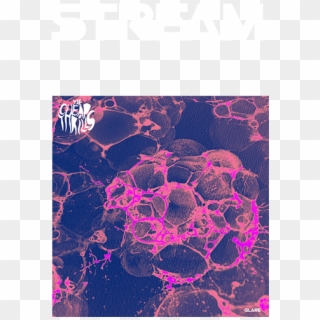 Release - Evr027 - Motif, HD Png Download