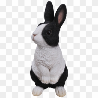 Standing Dutch Rabbit D - Dutch Rabbit Png, Transparent Png