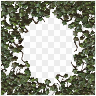 Tree, HD Png Download