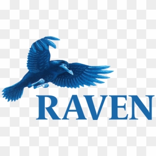 Raven Computers - Raven Design Png, Transparent Png