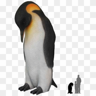 Download Penguins Png Transparent Images Transparent - Penguin Png, Png Download