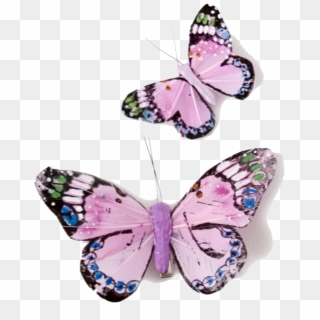 Pink Butterfly Transparent Png - Transparent Pink Butterflies, Png Download