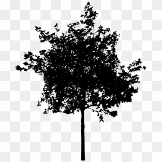 Shrub Bushes Clipart Oak Tree - Small Tree Silhouette Png, Transparent Png