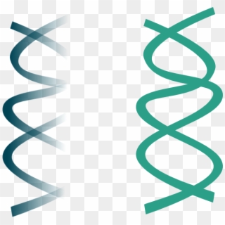 Small - Dna Clipart Png, Transparent Png