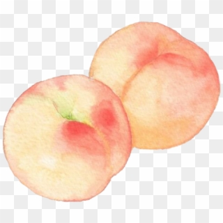 Peach Drawing Png - Apple, Transparent Png
