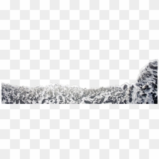 2560 X 1440 4 - Black And White Beach Png, Transparent Png