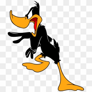Daffy Cover Picture Wallpaper - Daffy Duck, HD Png Download