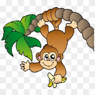 Zoo Monkey Png - Monkey Hanging From A Tree, Transparent Png