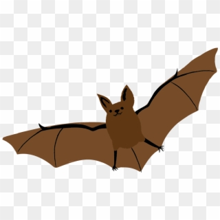 Little Brown Bat , Png Download - Little Brown Myotis, Transparent Png