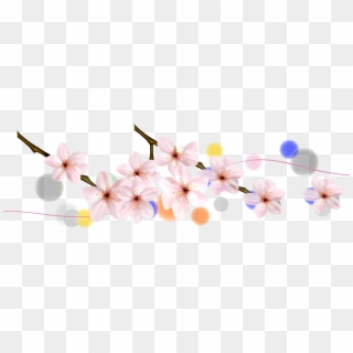 Cherry Blossom Petal Flower - Cherry Blossom, HD Png Download