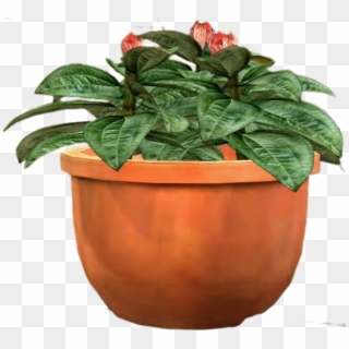 607 X 555 4 - Potted Plants Transparent Png, Png Download
