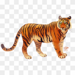 Visit - Javan Tiger Drawing, HD Png Download