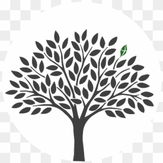 Walnut Hill Presbyterian Church, Pca - Logo Jacarandas, HD Png Download