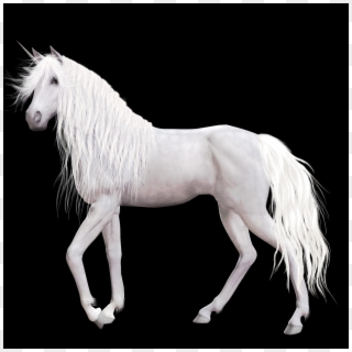 Unicorn Png Images - Белый Конь На Чёрном Фоне, Transparent Png
