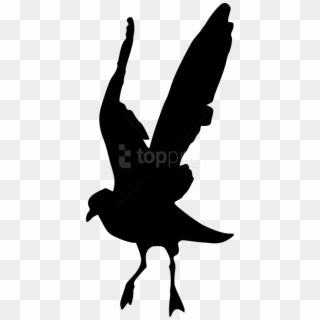 Free Png Bird Silhouette Png - Eagle, Transparent Png
