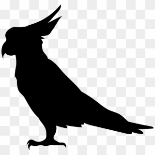 Parrot Silhouette Png Transparent Clip Art Image, Png Download