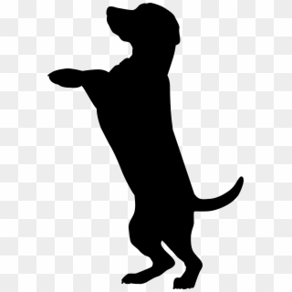 Boxer Dobermann Cat Pet Sitting Silhouette - Dog Silhouette Transparent Background, HD Png Download