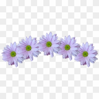 Crown Sticker - African Daisy, HD Png Download