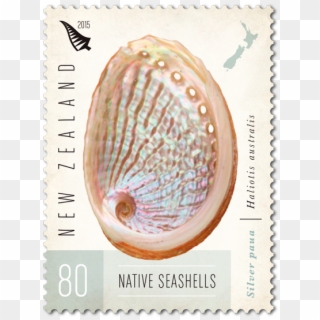 Product Listing For New Zealand Native Seashells - Post Card Stamp Canada, HD Png Download