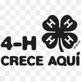 4 H Grows Here B - 4 H Clover, HD Png Download