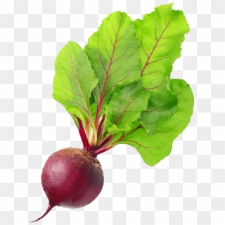Red Beet Root Physical Material - Beetroot Png, Transparent Png