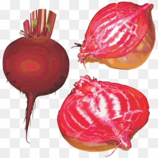 Red Beet Root Physical Material, HD Png Download
