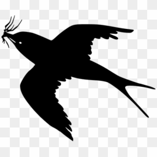 Free Png Download Cartoon Black Bird Flying Png Images - Bird Clipart Flying, Transparent Png