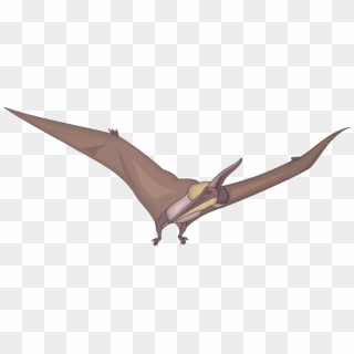 Bird Flying Wings - Passaro Dinossauro Png, Transparent Png