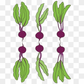 Big-beets, HD Png Download