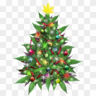Marijuana Christmas Tree - Marijuana Christmas Cards, HD Png Download