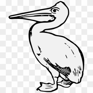 Details, Png - Stork, Transparent Png