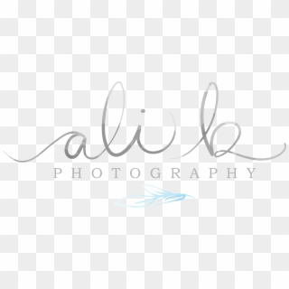 Ali B - Photography - B Logo Design Photograph, HD Png Download