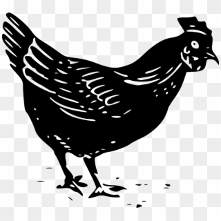 800 X 722 12 - Black And White Chicken Clip Art, HD Png Download