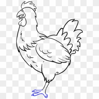 678 X 600 6 - Chicken Drawing, HD Png Download