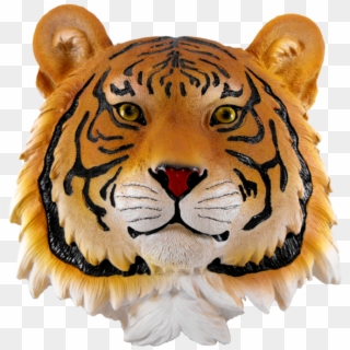 Tiger Face, HD Png Download