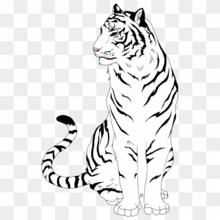 900 X 900 7 - White Tiger Drawing Easy, HD Png Download