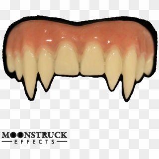 Unstained, Vampire Pale Gum - Jaw, HD Png Download