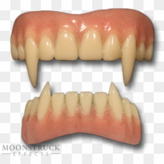 Details About Moonstruck Effects Vladymyr Vampire Pro - Tooth, HD Png Download