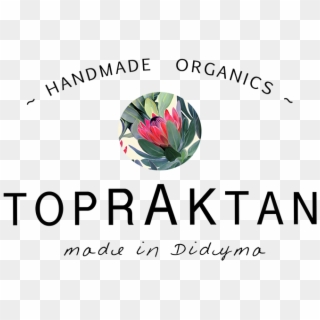 Design Topraktan On Behance Organic Soaps In - Blockschrift, HD Png Download