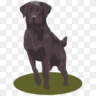 Golden Retriever Clipart Chocolate Lab Puppy - Black Lab Dog Clipart, HD Png Download