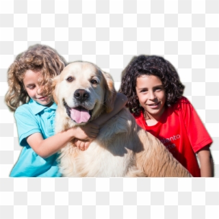 Children With Retriever Goldern - Companion Dog, HD Png Download