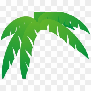 Green Leaves Clipart Jungle Leaf - Palm Frond Palm Tree Leaf, HD Png Download