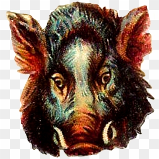 Buffalo Clipart Png - Wild Boar Digital Art, Transparent Png