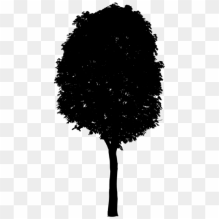 7 Black Tree Png Image Transparent - Black Trees Png File, Png Download