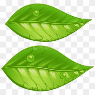 Free Png Download Green Leaves Png Images Background - Green Leaves Clip Art Png, Transparent Png